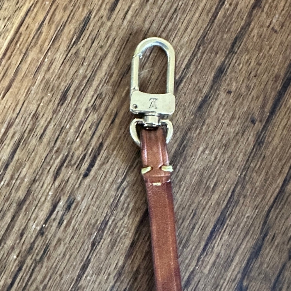 Louis Vuitton Monogram Pochette Accessories Bag (Firm) - Picture 7 of 10